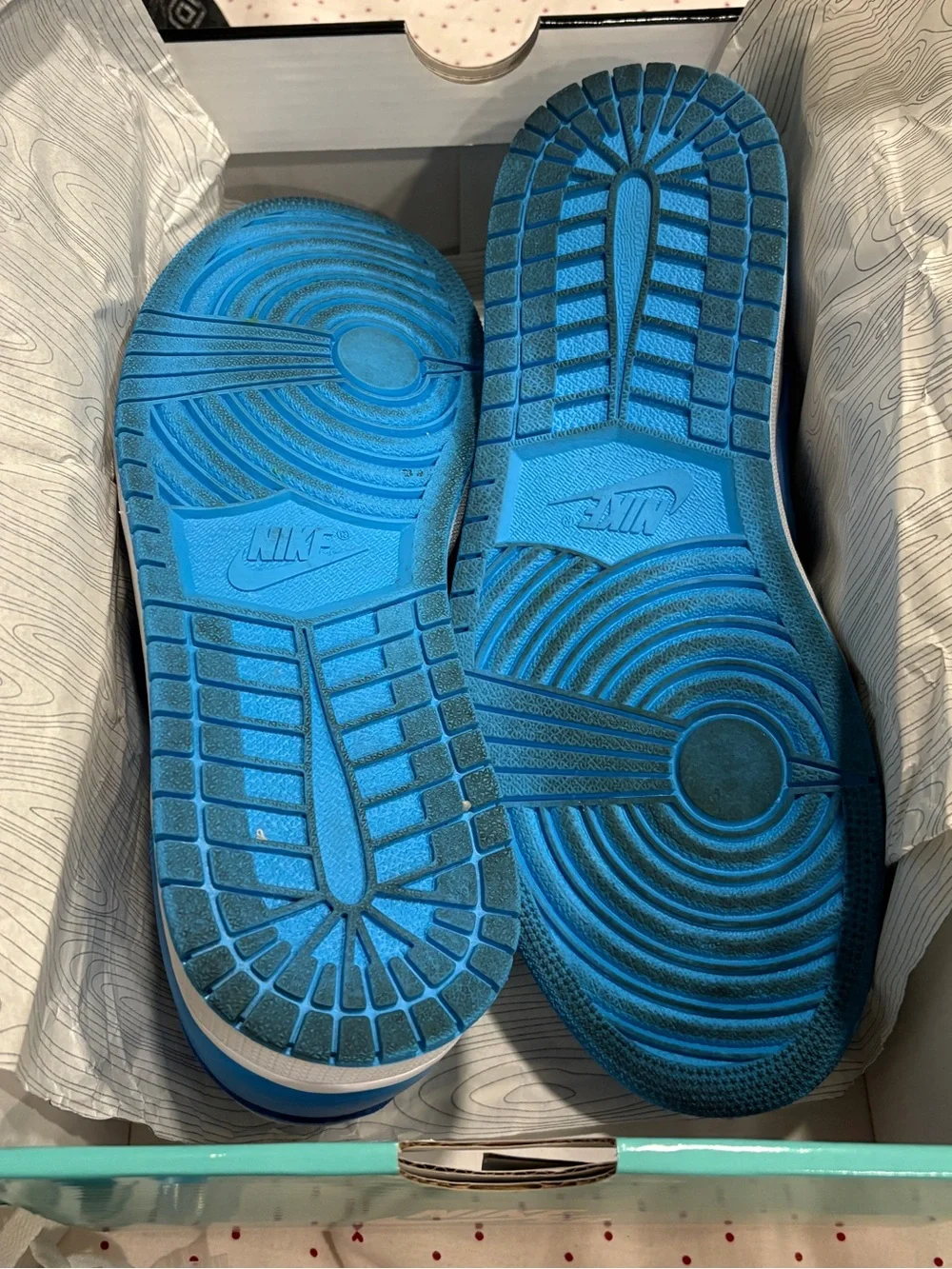 Nike Jordan 1 Low SB UNC CJ7891-401